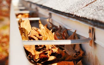 Threepwood gutter cleaning companies